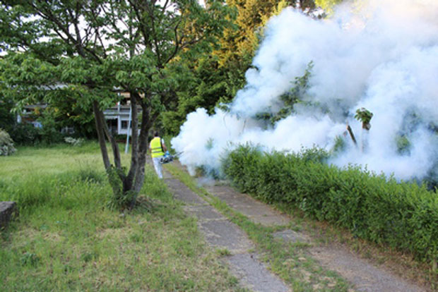 Комараца мање, али баш гризу!